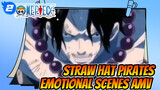 Straw Hat Pirates 
Emotional Scenes AMV_2
