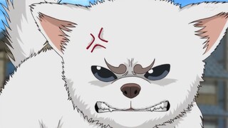 "Gintama" Sadahalu, is on fire?