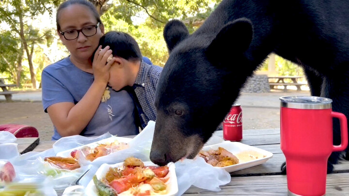 Beruang itu memaksa ikut serta dalam acara makan keluarga di luar, setelah kenyang dan puas baru per