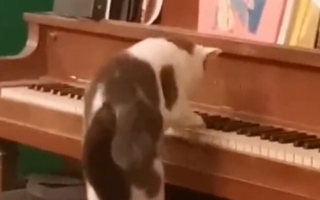 You should secretly practice your piano until you’re flawless, then wow everyone.
