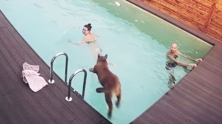 Seeing his parents swimming, Puma Messi jumped into the water to save them