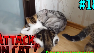 รวมพลแก๊งค์แมวฮ่า Attack on Cat ! 18 / ตอน แม่ปี้ !!! พากย์นรก