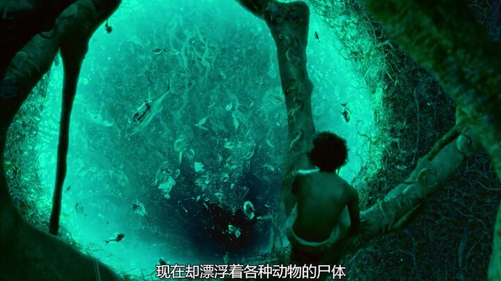 Thoạt đầu chưa hiểu được Cuộc phiêu lưu kỳ ảo, giờ đây mới vỡ lẽ.