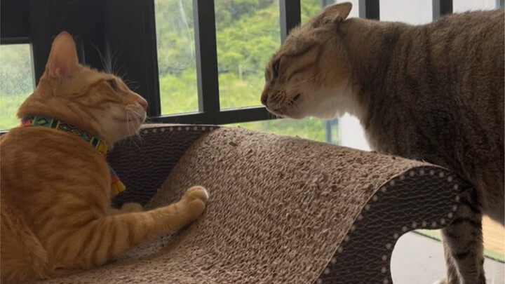 Kalau dihitung-hitung, sepertinya tidak ada yang merugi.