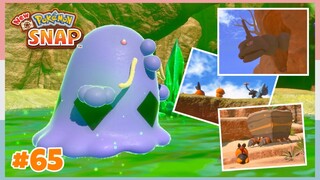 Level 1 Barren Badlands *Day* Completed | New Pokemon Snap - Part 65 (No Commentary)