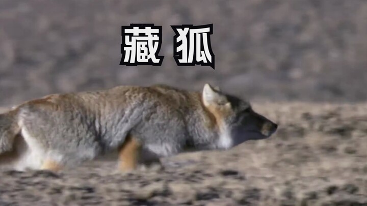 “นอกจากจะไม่ค่อยสวยแล้ว จริงๆ ก็ถือว่าสวยอยู่นะ”