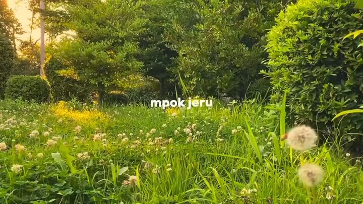 kuk kru empok jru