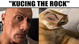 Kucing The Rock Eyebrow...