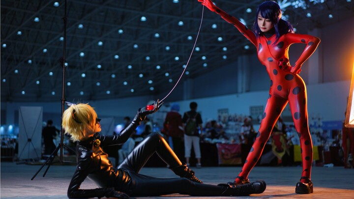 Ladybug cos scene photo Ladybug Reddy and black cat Noel "I can't imagine that the person I love is 