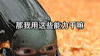 上帝是如何创造屎壳郎的