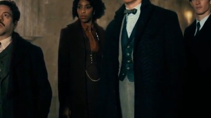 Dumbledore has eight hundred tricks up his sleeve #FantasticBeasts #Dumbledore #Newt
