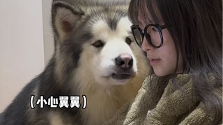 Little dog, you don’t have to be so grown-up—you’ll always be a baby.