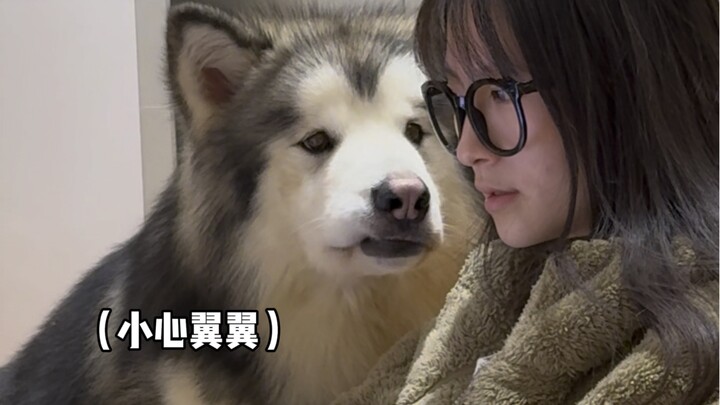 Anak anjing, kamu boleh saja tidak terlalu pintar; kamu akan selalu jadi bayi.