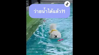 สรุปที่ว่ายได้เพราะติดสาวคับ🐻‍❄️💝💦