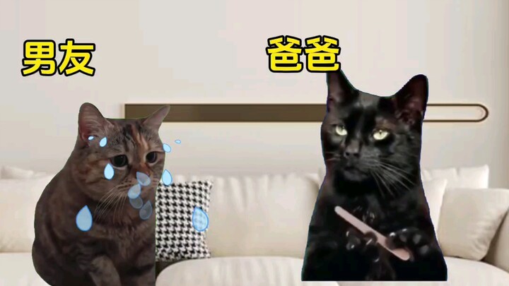 Saat pertama kali mengenalkan pacar pada orang tua