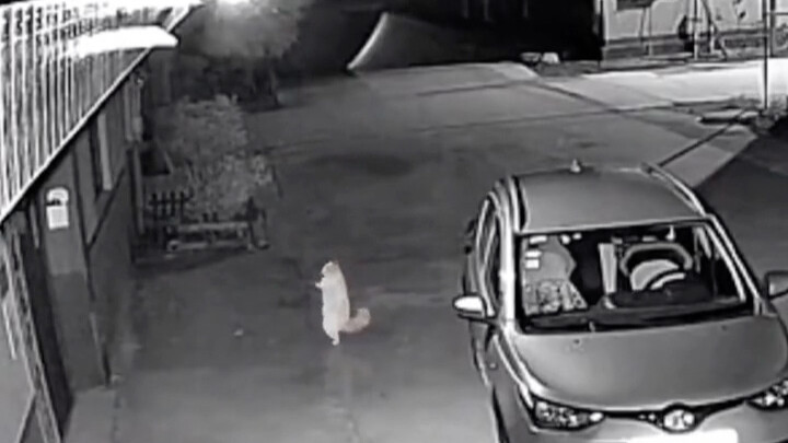 I just woke up too early; I'll go back to sleep for a bit.