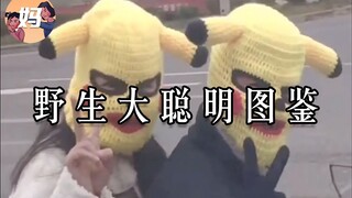 【野生人类图鉴】卧 龙 在 世