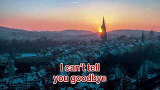 i cant say goodbye to you