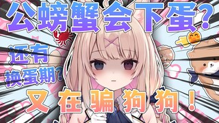 公螃蟹会下蛋吗？