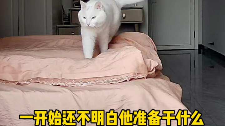 يا قطتي، أنا حقًا أفتقد أمي جدًا، حتى إنني لا أصدق أنني استطعت فعل ذلك.