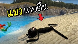 แมว..เกยตื้น!! [พี่ซี] Garry mod