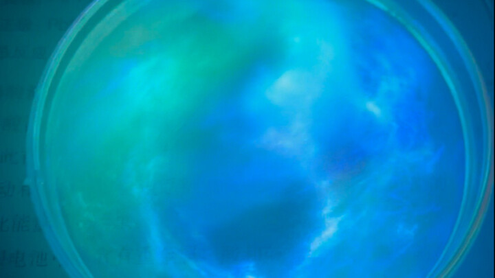 في يوم مهرجان منتصف الخريف، هل ترغب في أن تنضم إلي لمشاهدة القمر؟