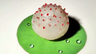 It took me 28,800 seconds to make a hybrid of bayberry and lychee.