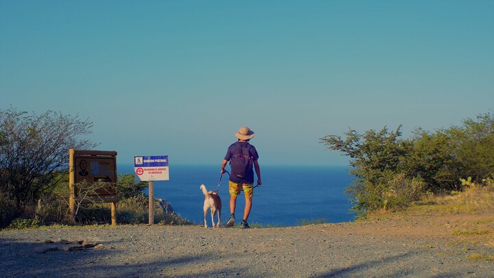 带上狗狗去探索圣玛尔塔的卡尔德隆海滩！🐶 Dog-Friendly Coastal Hiking