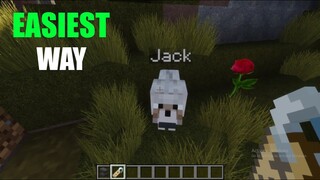 How to Give A Name Tag in Minecraft