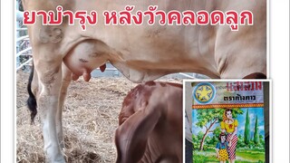 ยาสมุนไพรสูตรโบราณ  ยาขับน้ำคาวปลา ยาบำรุงน้ำนม บำรุงร่างกาย หลังวัวคลอดลูก