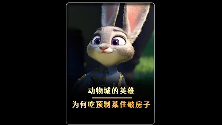 Why did Judy repeatedly save Zootopia, yet she could only eat pre-made meals and live in a dilapidat