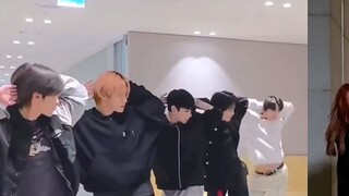 WayV, learning everything will only hurt you【WayV】