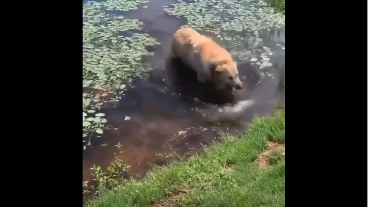 You can tell the water smells pretty bad.