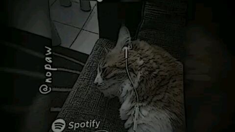 dj sakit nya luar dalam
