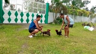 father and son Sagupaan