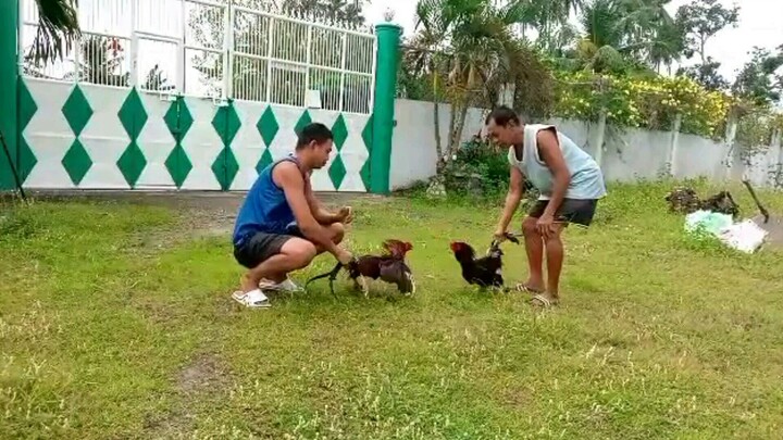 father and son Sagupaan