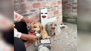 ฉันชอบกินโจ๊ก