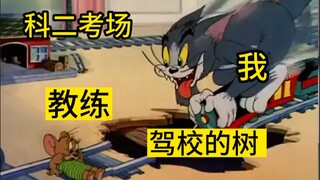 当代大学生暑假学车现状