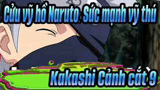 [Cửu vỹ hồ Naruto: Sức mạnh vỹ thú] Năm trưởng làng hội tụ, Kakashi Cảnh cắt 9_B