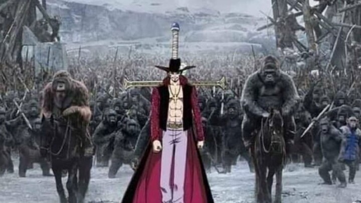 One Piece: Hawkeye: Do you think I'll be arrested?