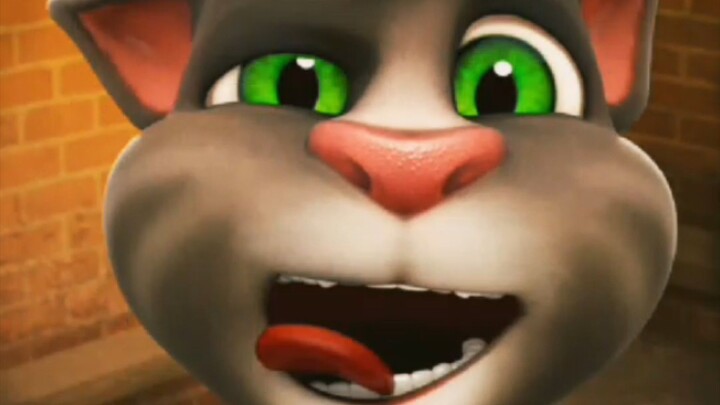 Talking Tom Cat