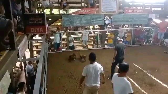 1st fight in 3 WINS competition, d ako ang ngbitaw