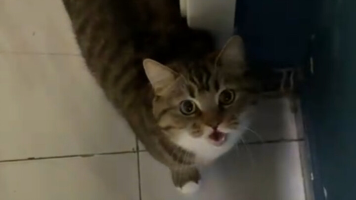 คุณป้าที่ไม่รู้จัก แต่หิวแล้ว แกล้งทำเป็นรู้จักหน่อย!