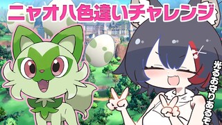 【ポケモンSV】ニャオハ色違いチャレンジ！譲渡会もあるよ〜【ホロライブ/大神ミオ】