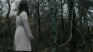 [Brother Yu] "The Wall" — a highly-rated mystery film overshadowed by its title, with jaw-dropping t