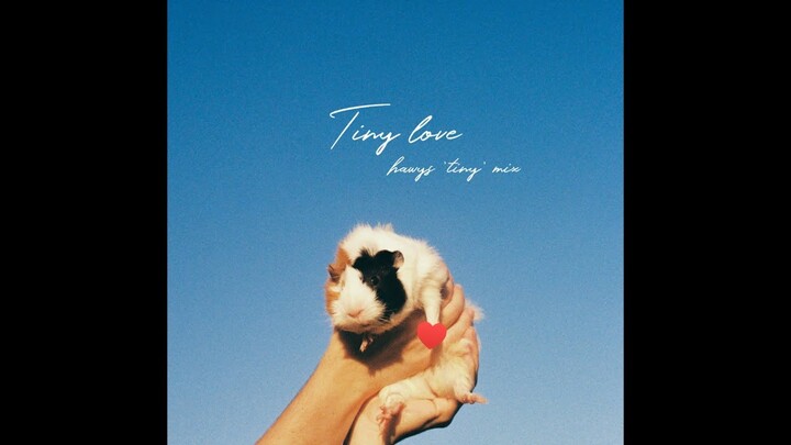 tiny love - Thịnh Suy (hawys tiny mix.)