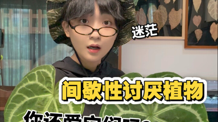 Mau menyerah? Tapi aku udah nggak terlalu suka tanaman lagi!