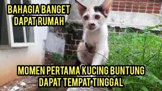 Subhanallah Anak Kucing Kakinya Buntung Seneng Banget Dapat Rumah Bikin Semua Terharu..!