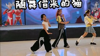 当随舞遇上《借来的猫》