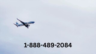 Complete List of Qantas Airways® Customer Service™ USA Contact